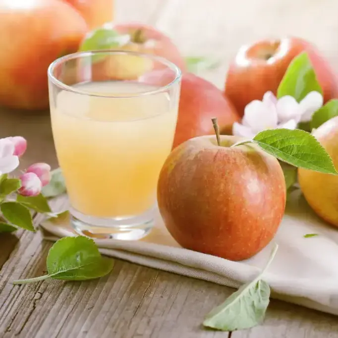 Vinagre de manzana turbio / orgánico / 10L