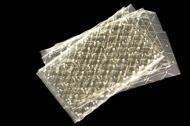 Blattgelatine / Bio / 10g