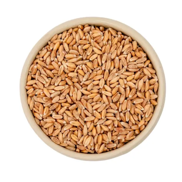 Granos de espelta / orgánico / 1Kg