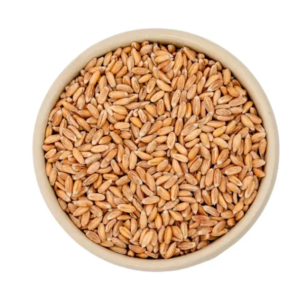 Granos de espelta /Orgánico / 25Kg