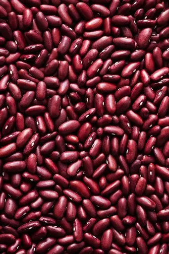 Kidney beans / Organic / 25Kg