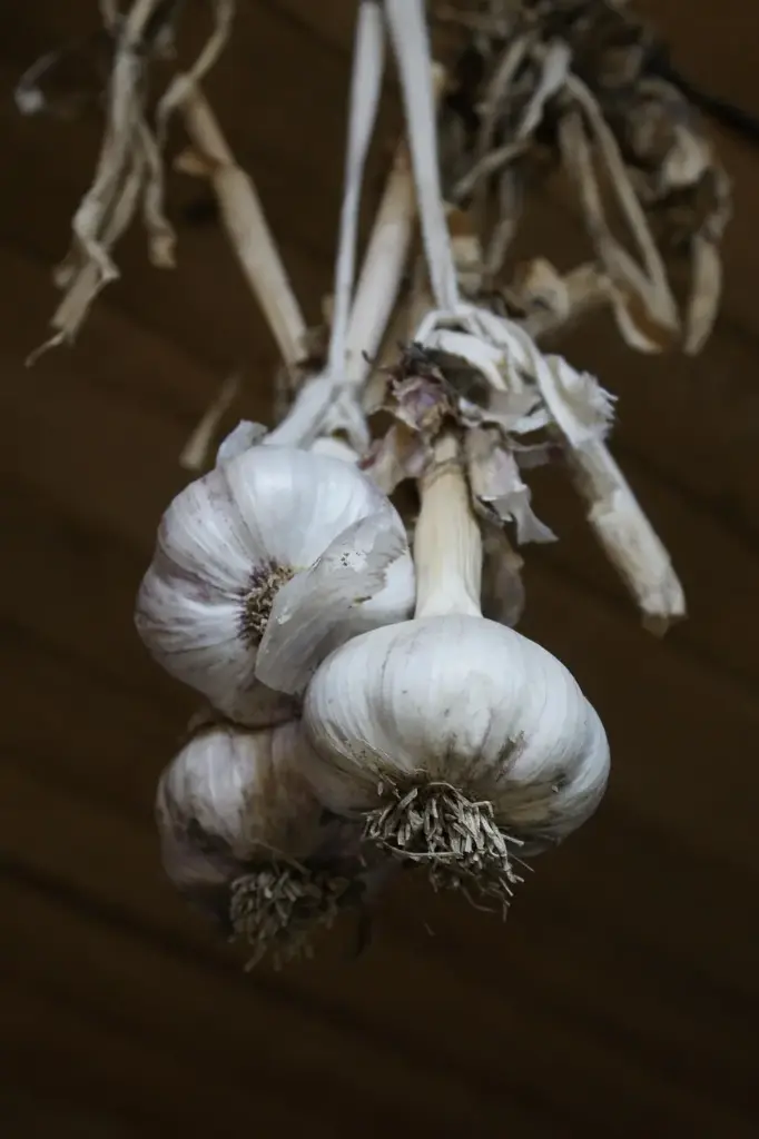 Garlic granules / organic / 50g