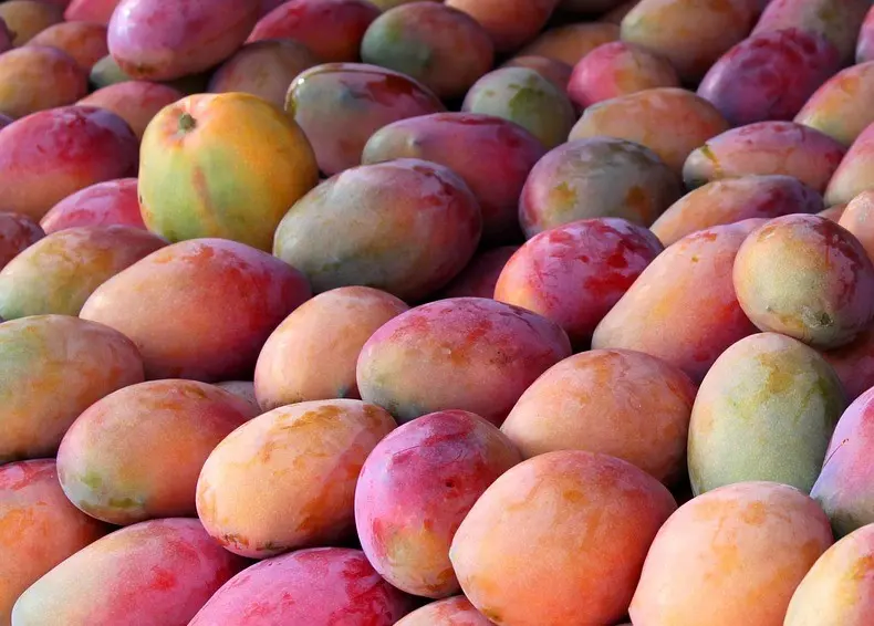 Mermelada de mango de la finca / ecológica / 650g