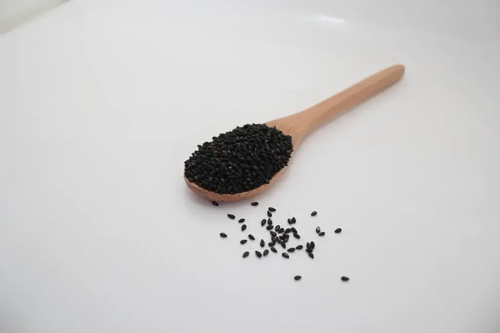Sesamsaat schwarz ungeschält / Bio / 200g