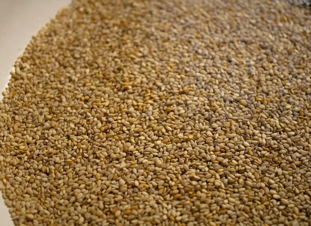 Sesame seeds unhulled / organic / 25kg