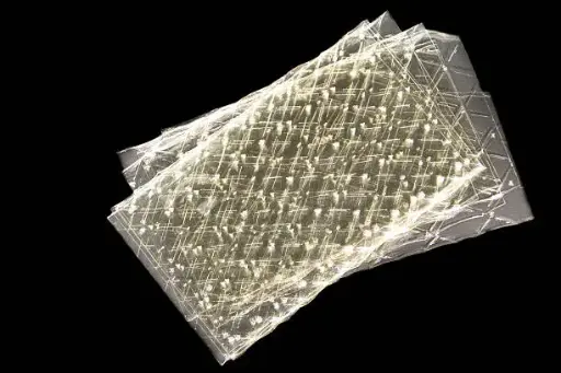 [PV.2143.RP] Blattgelatine / Bio / 10g