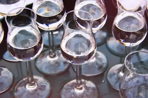 [PV.2301.RP] Cherry Brandy / Organic / 500ml