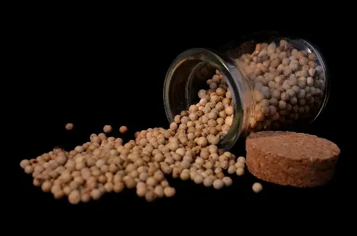 [PV.1843.B1] Pfeffer weiss ganz / Bio / 1kg