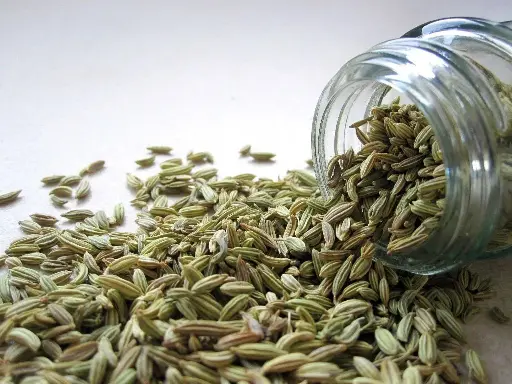 [PV.1310.B1] Fennel seeds / Organic / 1Kg